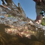 Nick holding a fat rainbow - Aspen Glen area on the Roaring Fork.